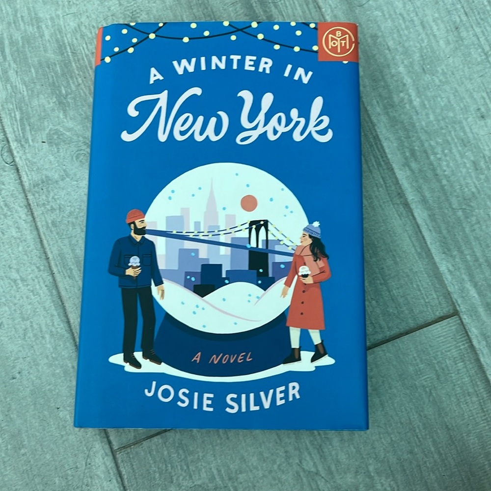 A winter in new york